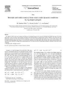 Bromide And Iodide Removal From Waters Under Dynamic Conditions By Ag-Doped Aerogels