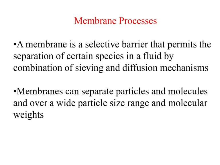 Membrane Processes