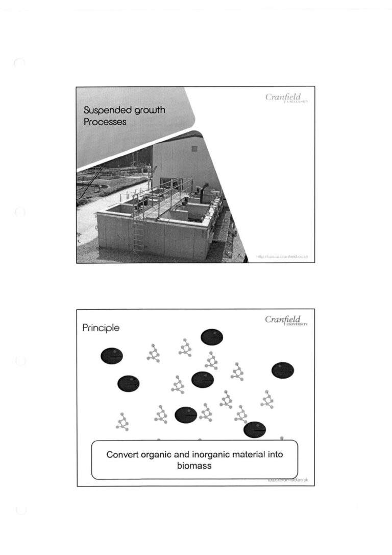 Suspended Growth Processes