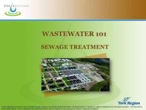 Wastewater 101 Sewage Treatment