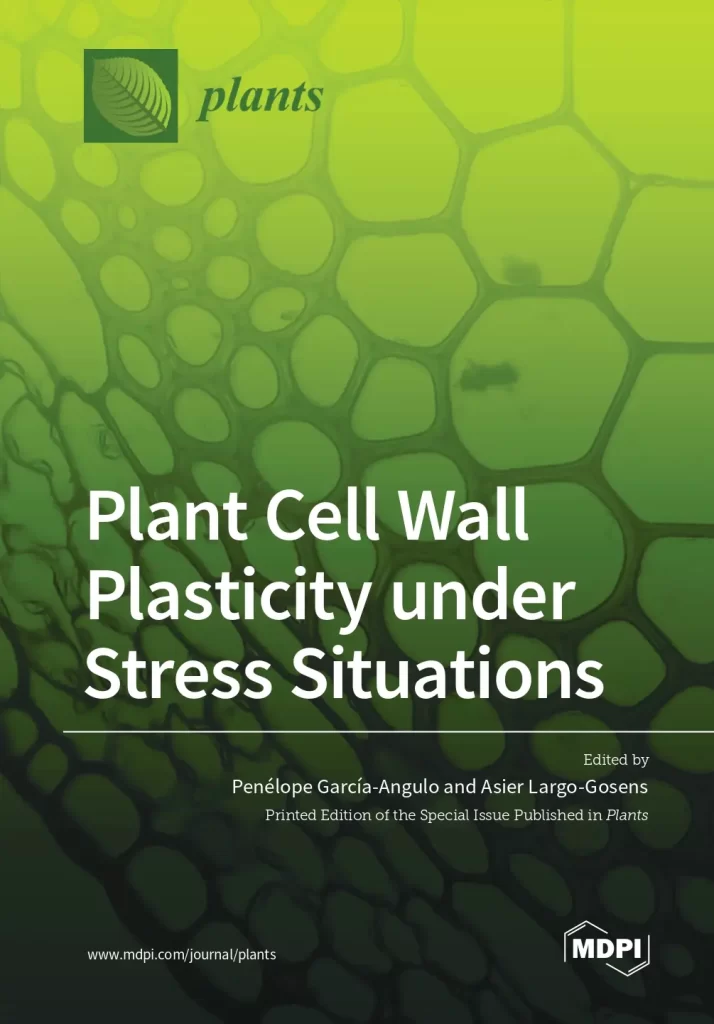 Plant Cell Wall Plasticity under Stress Situations