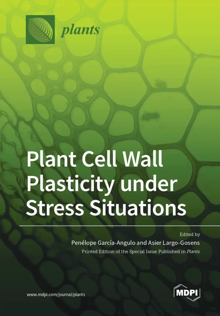Plant Cell Wall Plasticity under Stress Situations