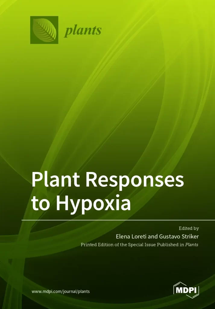 Plant Responses to Hypoxia