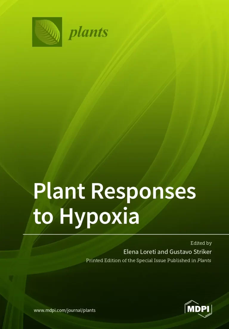 Plant Responses to Hypoxia