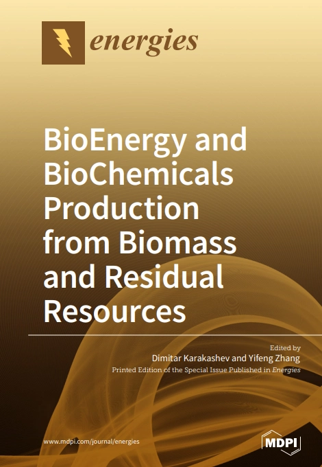 BioEnergy and BioChemicals Production from Biomass and Residual Resources