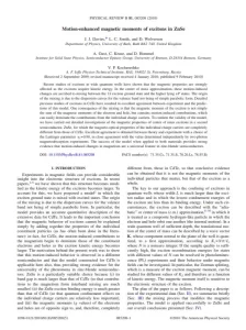 Motion Enhanced Magnetic Moments of Excitons in ZnSe