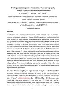 Orienting Anisometric Pores in Ferroelectrics Piezoelectric Property Engineering Through Local Electric Field Distributions