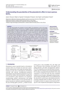 Understanding the Peculiarities of the Piezoelectric Effect in Macro Porous BaTiO3