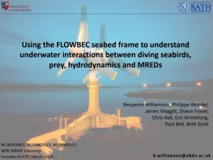 Using the FLOWBEC Seabed Frame to Understand Underwater Interactions Between Diving Seabirds, Prey, Hydrodynamics and MREDs