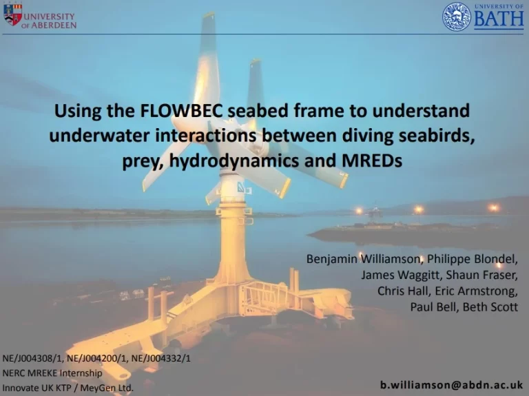Using the FLOWBEC Seabed Frame to Understand Underwater Interactions Between Diving Seabirds, Prey, Hydrodynamics and MREDs