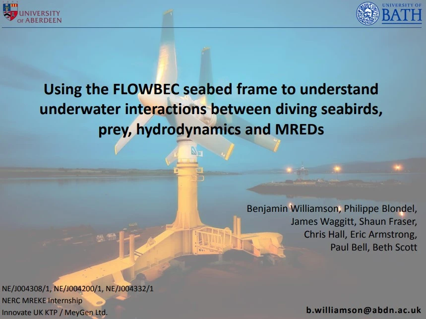 Using the FLOWBEC Seabed Frame to Understand Underwater Interactions Between Diving Seabirds, Prey, Hydrodynamics and MREDs
