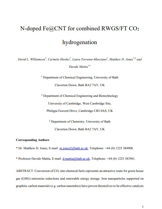 N-Doped FeCNT for Combined RWGSFT CO2 Hydrogenation