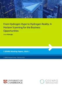 From Hydrogen Hype to Hydrogen Reality
