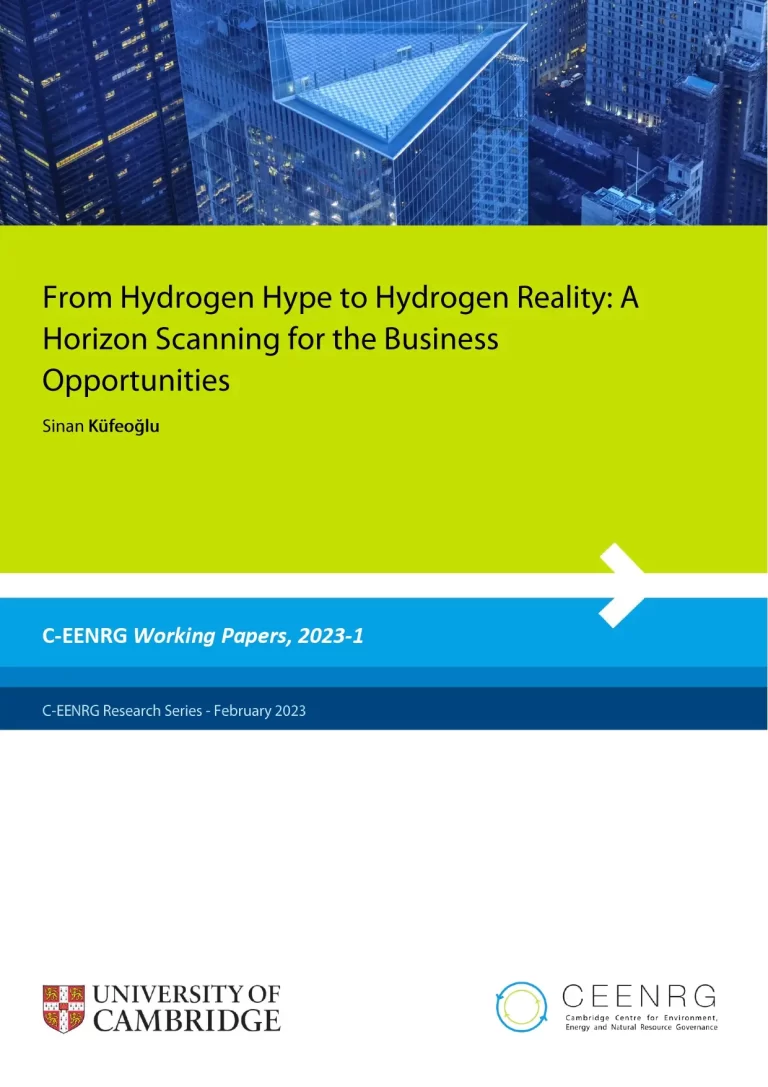 From Hydrogen Hype to Hydrogen Reality