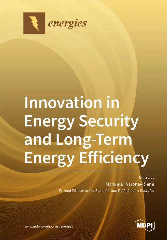 Innovation in Energy Security and Long-Term Energy Efficiency