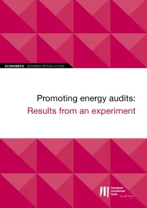 Promoting Energy Audits: Results from an Experiment