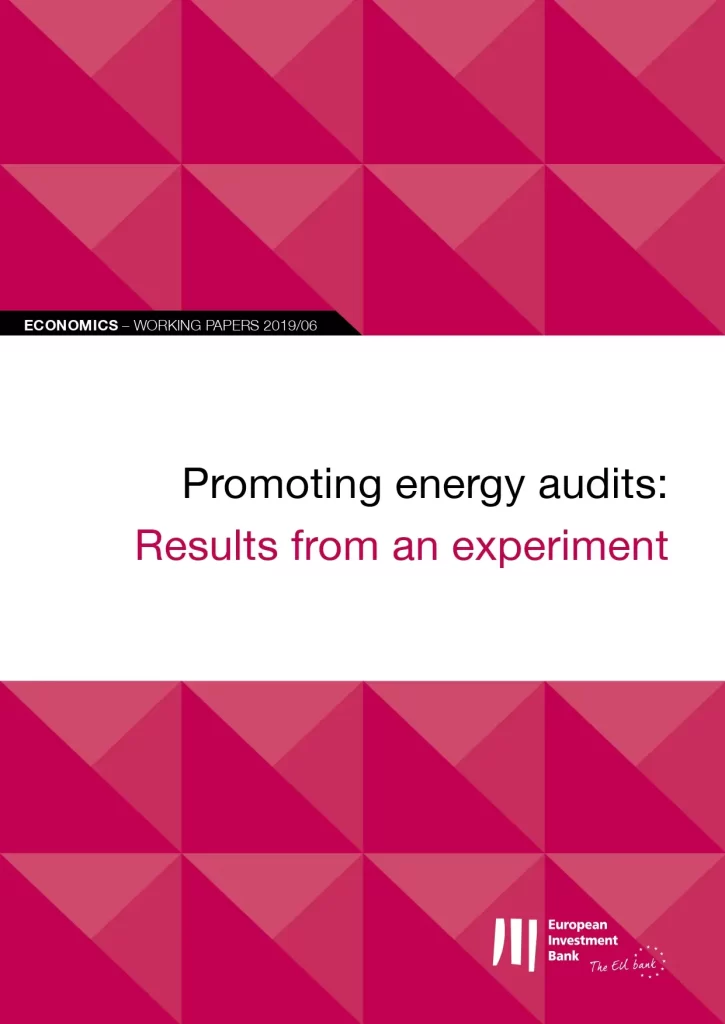 Promoting Energy Audits: Results from an Experiment