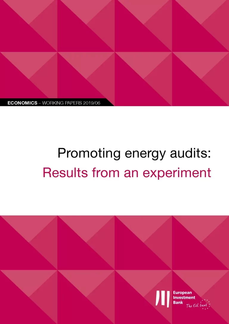 Promoting Energy Audits: Results from an Experiment