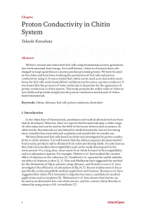 Proton Conductivity in Chitin System