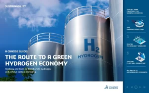 A Concise Guide The Route To A Green Hydrogen Economy Sustainability Strategy And Tools To Decarbonize Hydrogen And Achieve Carbon Neutrality.