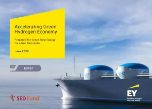 Accelerating Green Hydrogen Economy