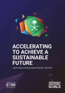 Accelerating to Achieve a Sustainable Future