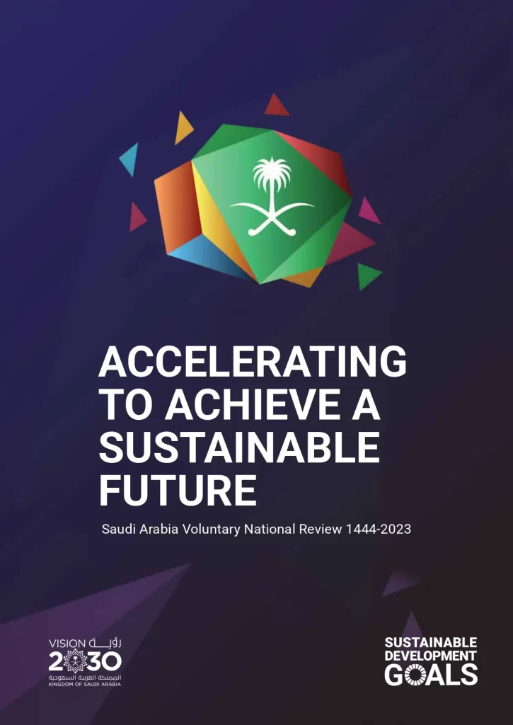 Accelerating to Achieve a Sustainable Future