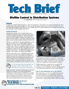Biofilm Control in Distribution Systems