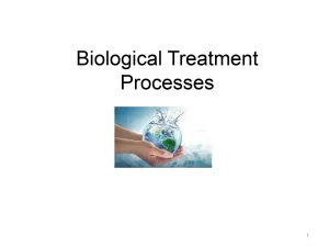 Biological Treatment Processes