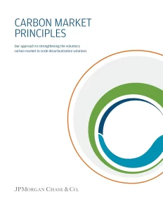 Carbon Market Principles