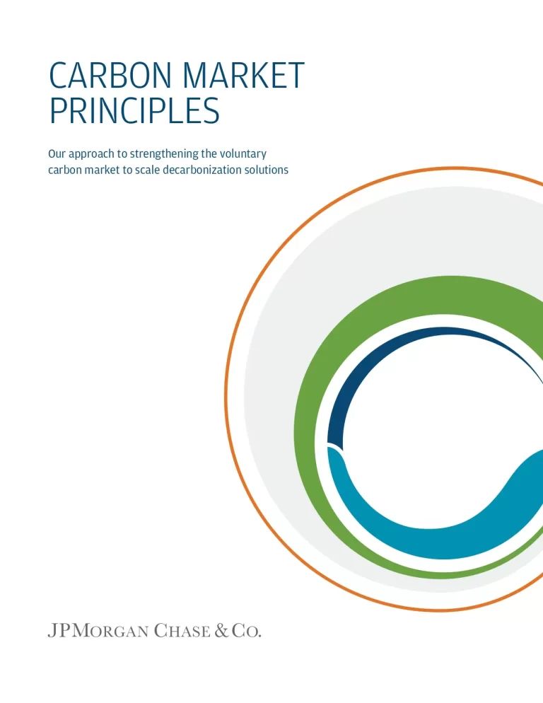 Carbon Market Principles