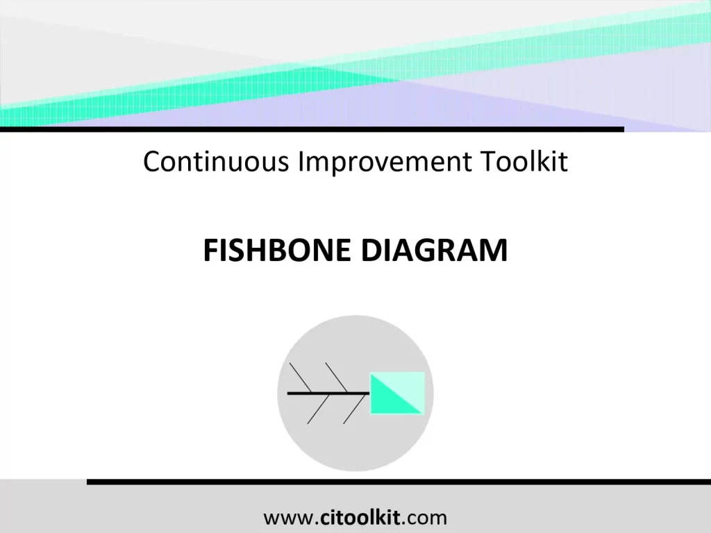 Fishbone Diagram