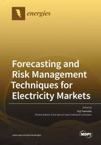 Forecasting and Risk Management Techniques for Electricity Markets