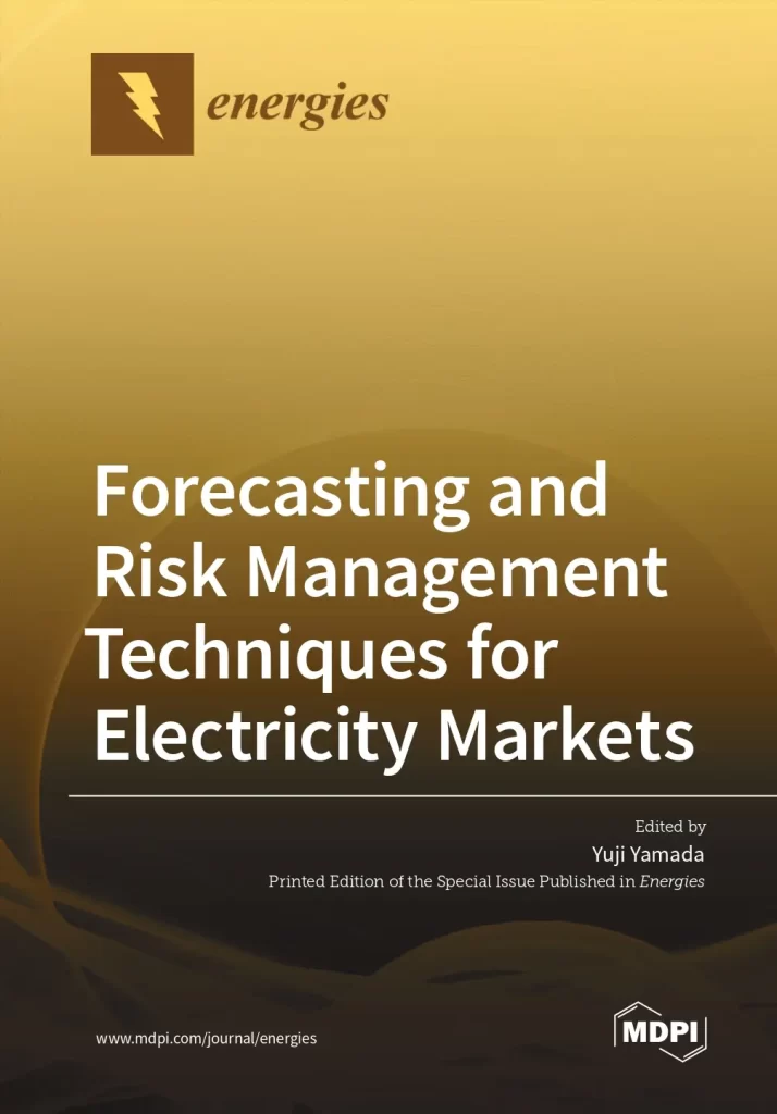 Forecasting and Risk Management Techniques for Electricity Markets