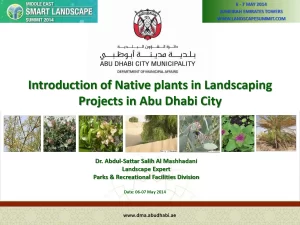 Introduction of Native plants in Landscaping Projects in Abu Dhabi City