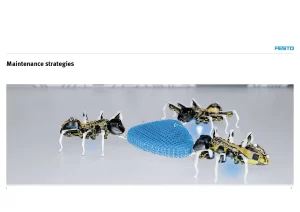 Maintenance Strategies