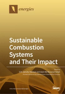 Sustainable Combustion Systems and Their Impact