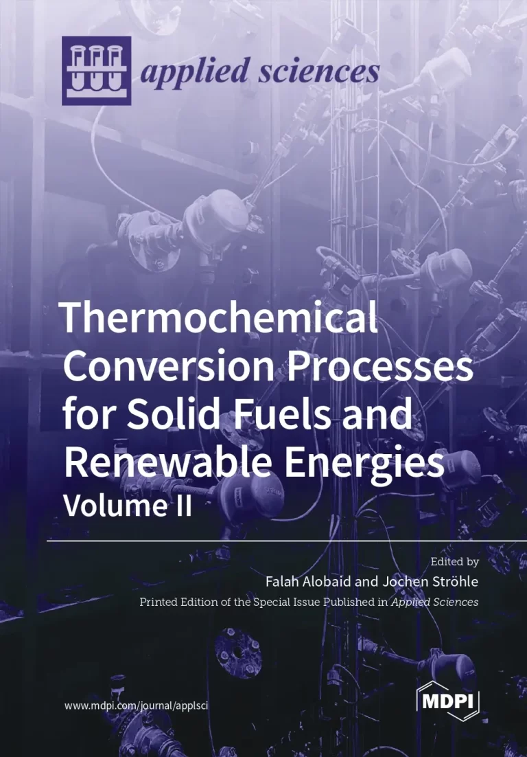 Thermochemical Conversion Processes for Solid Fuels and Renewable Energies Volume II