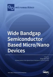 Wide Bandgap Semiconductor Based Micro/Nano Devices