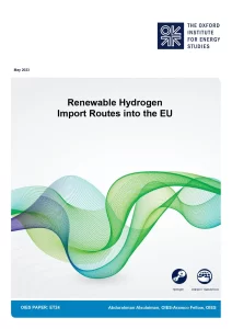 Renewable Hydrogen Import Routes into the EU