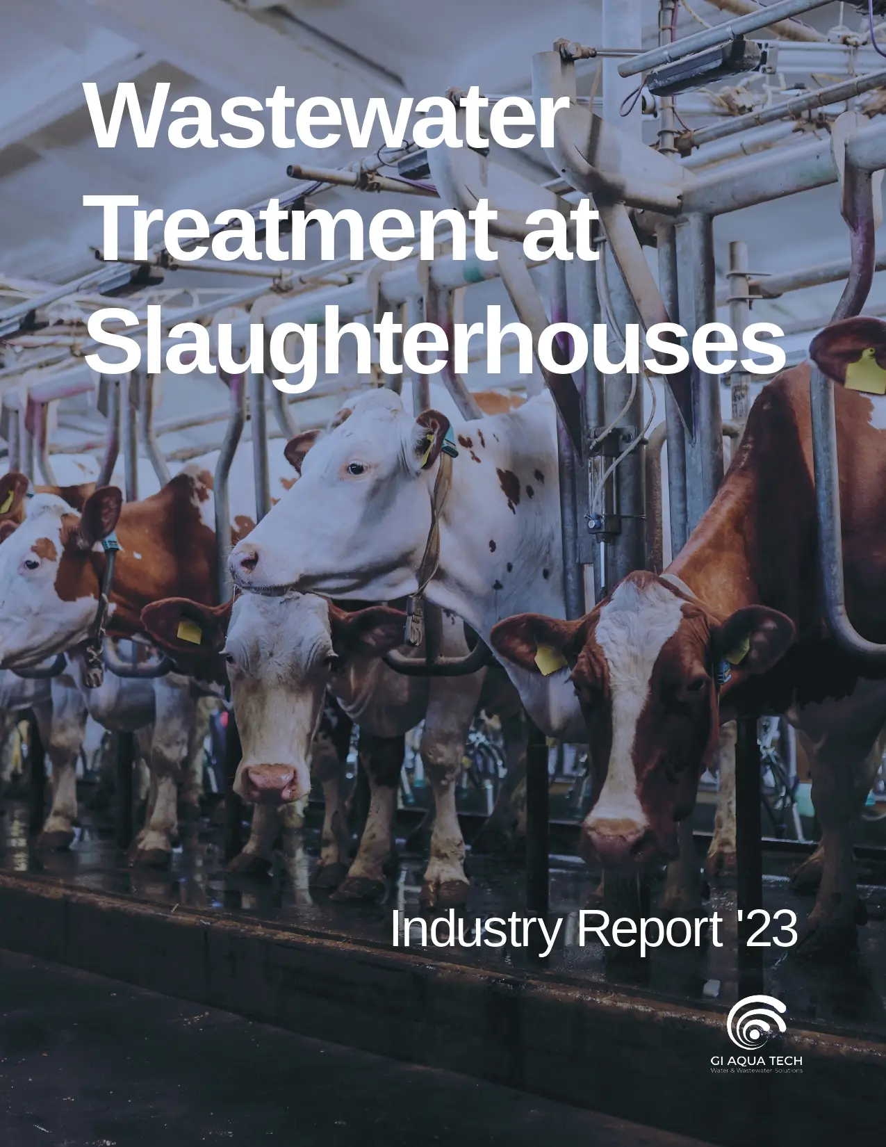 Wastewater Treatment at Slaughterhouses