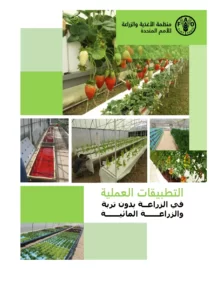 التطبيقات العملية في الزراعة بدون تربة والزراعة المائية