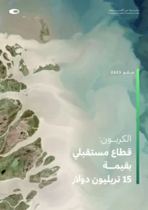 الكربون: قطاع مستقبلي بقيمة 15 تريليون دولار