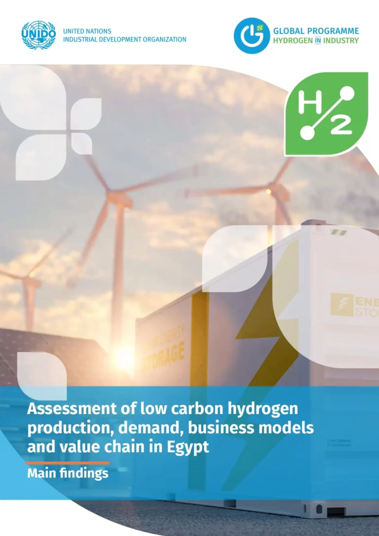 Assessment of Low Carbon Hydrogen Production, Demand, Business Models and Value Chain in Egypt