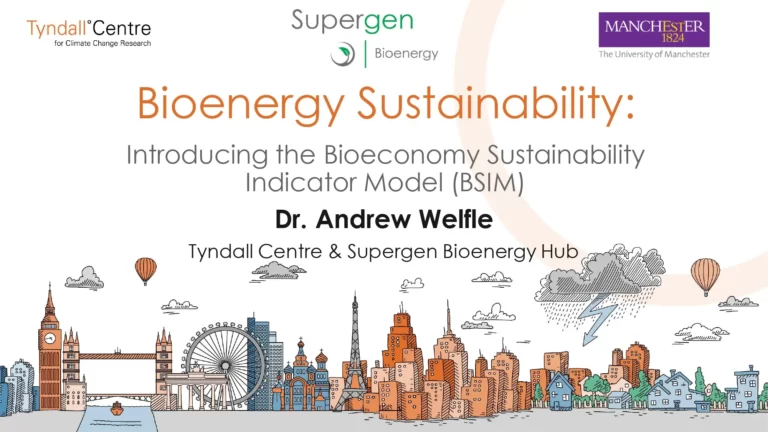 Bioenergy Sustainability: Introducing the Bioeconomy Sustainability Indicator Model (BSIM)