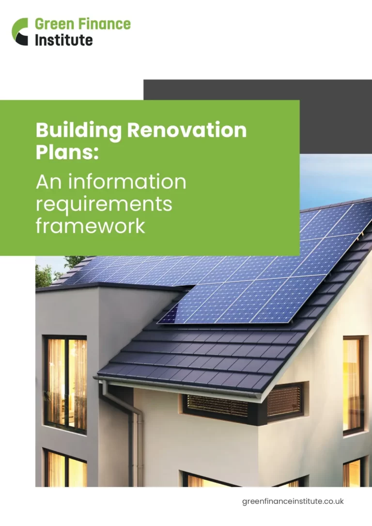 Building Renovation Plans: An information Requirements Framework