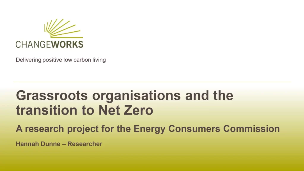 Grassroots Organisations and the Transition to Net Zero