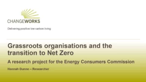 Grassroots Organisations and the Transition to Net Zero