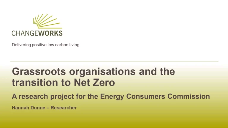 Grassroots Organisations and the Transition to Net Zero
