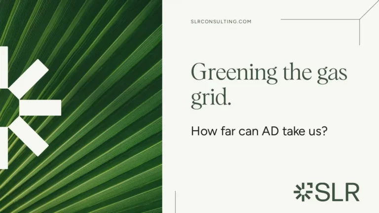 Greening the Gas Grid- How Far Can AD Take Us?